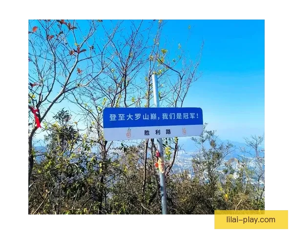 体育竞猜新玩法揭晓，带你轻松分析赛事，赢取丰厚奖励，开启你的智慧挑战之旅